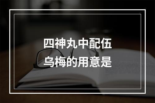 四神丸中配伍乌梅的用意是