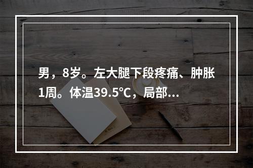 男，8岁。左大腿下段疼痛、肿胀1周。体温39.5℃，局部皮温