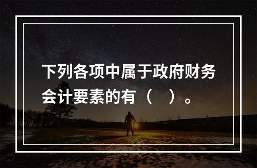 下列各项中属于政府财务会计要素的有（　）。