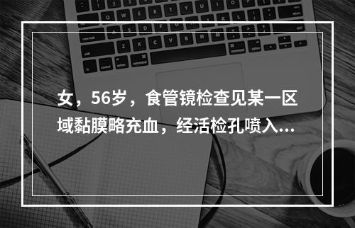 女，56岁，食管镜检查见某一区域黏膜略充血，经活检孔喷入Lu