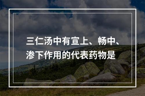 三仁汤中有宣上、畅中、渗下作用的代表药物是