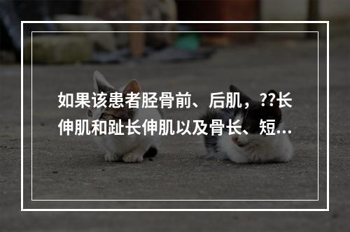 如果该患者胫骨前、后肌，??长伸肌和趾长伸肌以及骨长、短肌肌