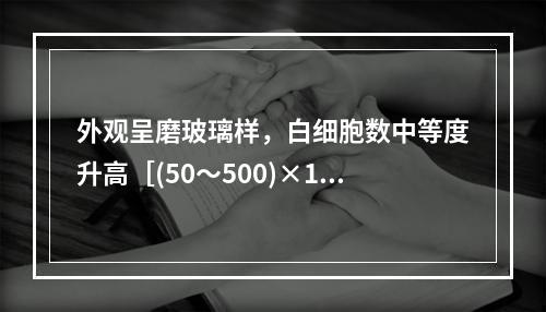 外观呈磨玻璃样，白细胞数中等度升高［(50～500)×10/