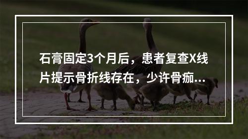 石膏固定3个月后，患者复查X线片提示骨折线存在，少许骨痂生长