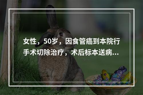 女性，50岁，因食管癌到本院行手术切除治疗，术后标本送病理检