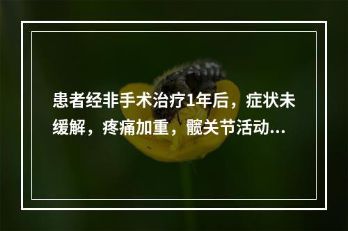 患者经非手术治疗1年后，症状未缓解，疼痛加重，髋关节活动明显