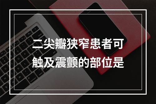 二尖瓣狭窄患者可触及震颤的部位是