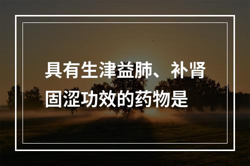 具有生津益肺、补肾固涩功效的药物是