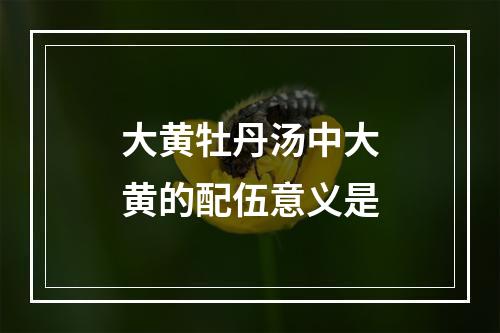 大黄牡丹汤中大黄的配伍意义是