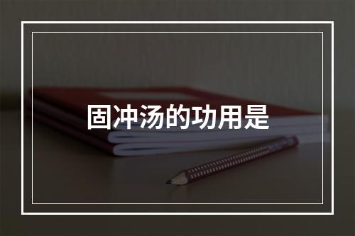 固冲汤的功用是