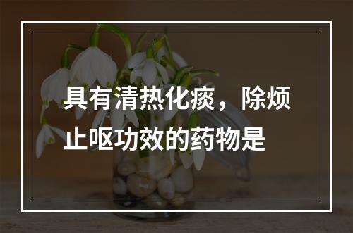 具有清热化痰，除烦止呕功效的药物是