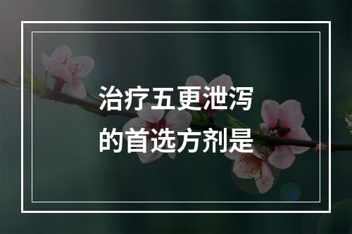 治疗五更泄泻的首选方剂是