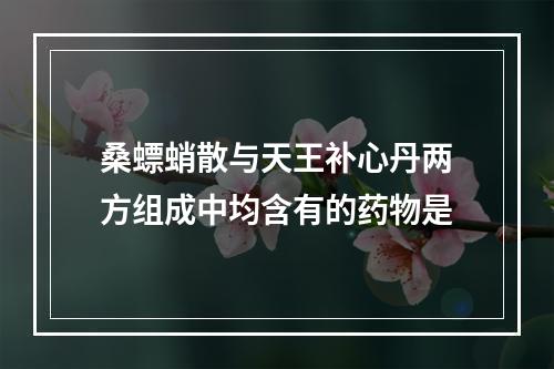 桑螵蛸散与天王补心丹两方组成中均含有的药物是