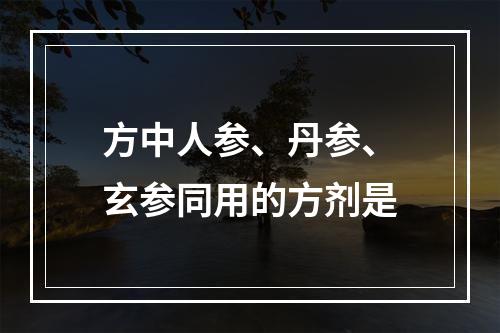 方中人参、丹参、玄参同用的方剂是