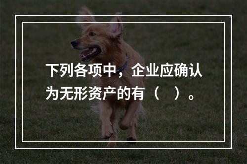 下列各项中，企业应确认为无形资产的有（　）。