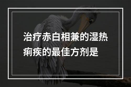 治疗赤白相兼的湿热痢疾的最佳方剂是