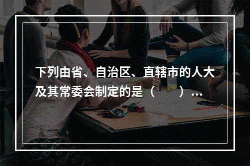 下列由省、自治区、直辖市的人大及其常委会制定的是（　　）。