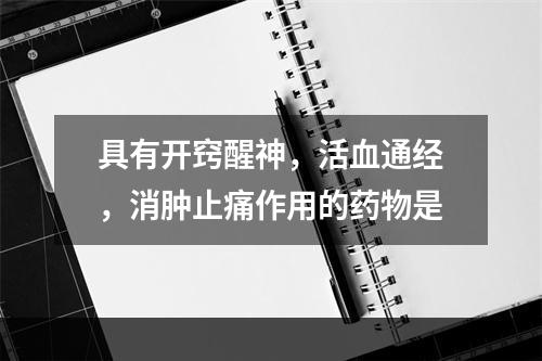 具有开窍醒神，活血通经，消肿止痛作用的药物是