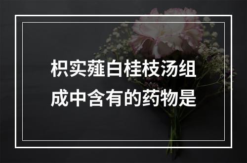 枳实薤白桂枝汤组成中含有的药物是