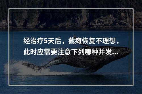 经治疗5天后，截瘫恢复不理想，此时应需要注意下列哪种并发症？