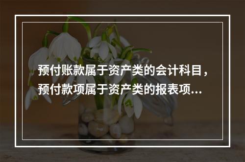 预付账款属于资产类的会计科目，预付款项属于资产类的报表项目。