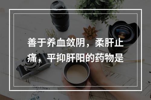 善于养血敛阴，柔肝止痛，平抑肝阳的药物是