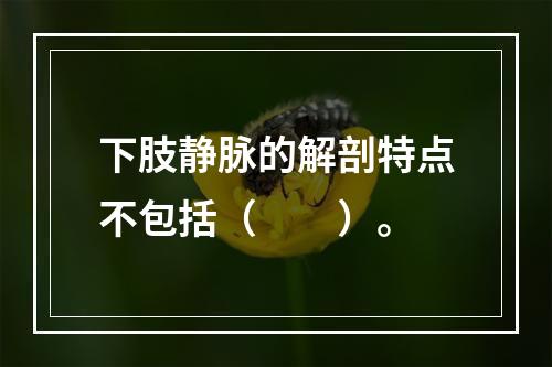 下肢静脉的解剖特点不包括（　　）。