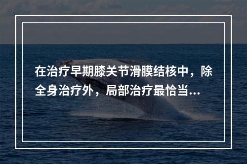 在治疗早期膝关节滑膜结核中，除全身治疗外，局部治疗最恰当的措