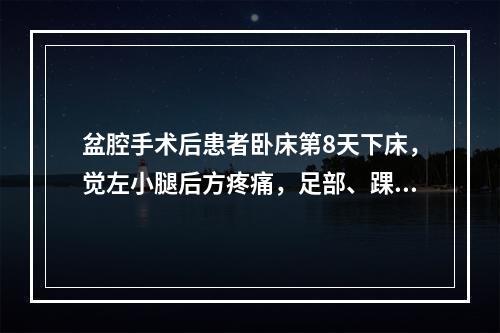 盆腔手术后患者卧床第8天下床，觉左小腿后方疼痛，足部、踝部有