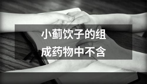 小蓟饮子的组成药物中不含