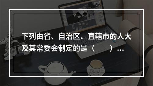 下列由省、自治区、直辖市的人大及其常委会制定的是（　　）。