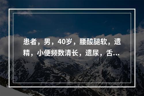 患者，男，40岁，腰酸腿软，遗精，小便频数清长，遗尿，舌润苔