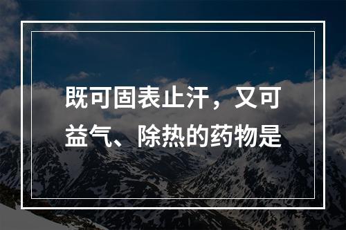 既可固表止汗，又可益气、除热的药物是