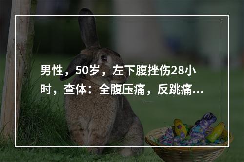 男性，50岁，左下腹挫伤28小时，查体：全腹压痛，反跳痛，肌