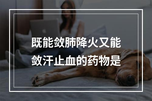 既能敛肺降火又能敛汗止血的药物是