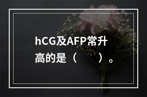 hCG及AFP常升高的是（　　）。