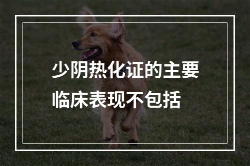 少阴热化证的主要临床表现不包括