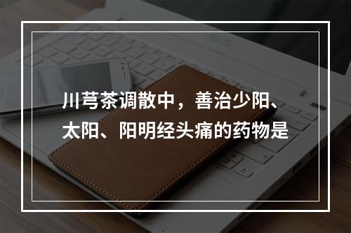 川芎茶调散中，善治少阳、太阳、阳明经头痛的药物是