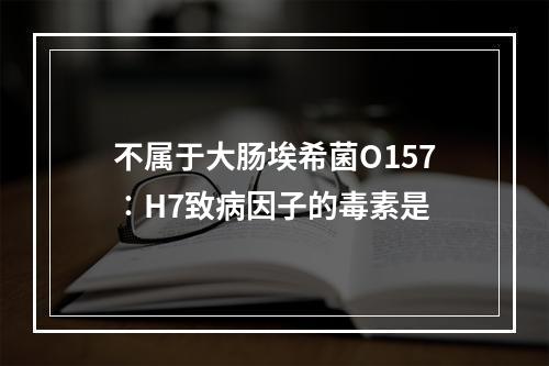 不属于大肠埃希菌O157∶H7致病因子的毒素是