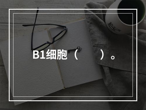 B1细胞（　　）。