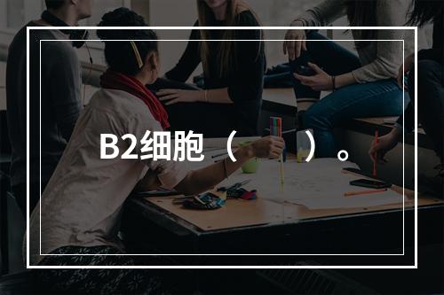 B2细胞（　　）。