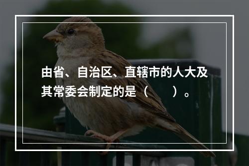 由省、自治区、直辖市的人大及其常委会制定的是（　　）。