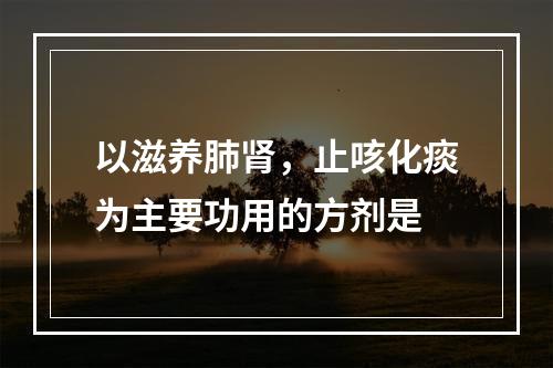 以滋养肺肾，止咳化痰为主要功用的方剂是