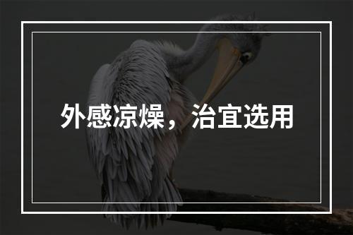 外感凉燥，治宜选用