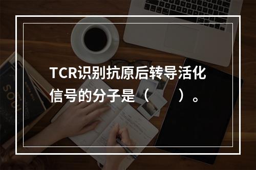 TCR识别抗原后转导活化信号的分子是（　　）。