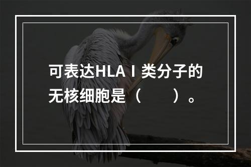 可表达HLAⅠ类分子的无核细胞是（　　）。