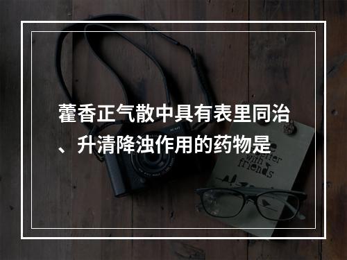 藿香正气散中具有表里同治、升清降浊作用的药物是