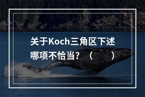 关于Koch三角区下述哪项不恰当？（　　）