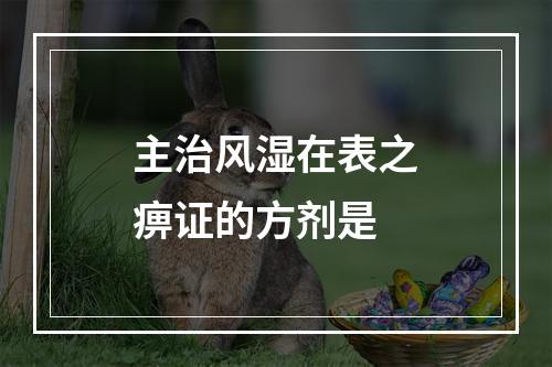 主治风湿在表之痹证的方剂是