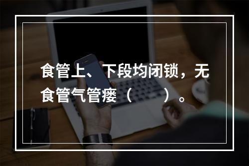 食管上、下段均闭锁，无食管气管瘘（　　）。